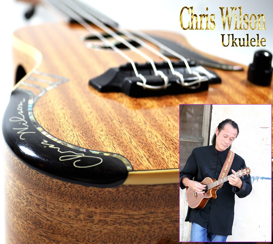 Chris Wilson e-monsite 08