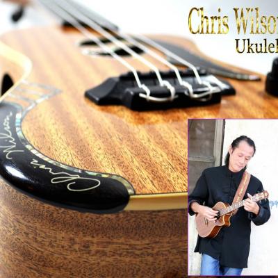 Chris Wilson e-monsite 08
